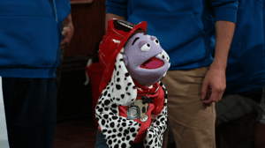 Crash & Bernstein, Season 2 Episode 5 image