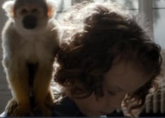 Our Zoo, Season 1 Episode 1 image