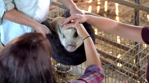 Vanderpump Rules: Jax and Brittany Take Kentucky, Season 1 Episode 5 image