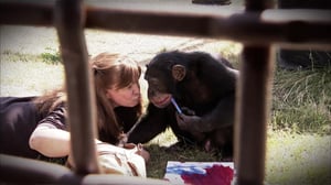 Fatal Attractions, Season 1 Episode 3 image