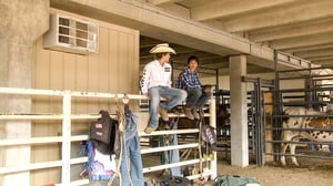 Little Britches Rodeo, Season 4 Episode 22 image