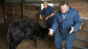 The Incredible Dr. Pol, Season 5 Episode 8 image