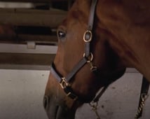 Heartland, Season 4 Episode 7 image