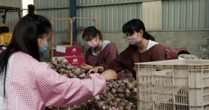 Rotten, Season 1 Episode 3 image