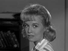 My Three Sons, Season 1 Episode 29 image