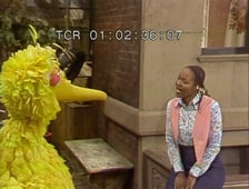 Sesame Street, Season 10 Episode 35 image