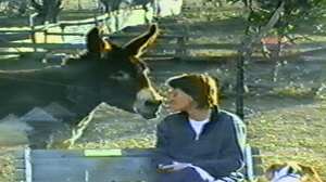 America's Funniest Home Videos, Season 19 Episode 9 image