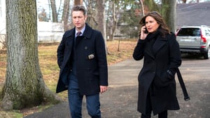 Law & Order: Special Victims Unit, Season 18 Episode 7 image