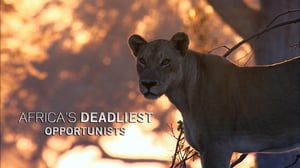 Africa's Deadliest, Season 6 Episode 1 image