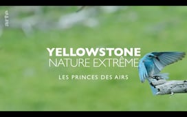 Epic Yellowstone, Season 1 Episode 3 image