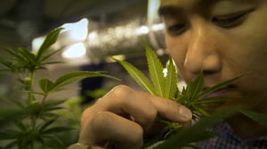 Bud Empire, Season 1 Episode 2 image