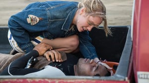 800 Words, Season 3 Episode 1 image