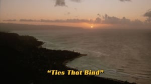 Baywatch, Season 11 Episode 10 image