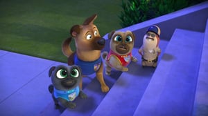 Puppy Dog Pals, Season 4 Episode 8 image