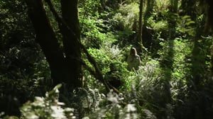 Expedition Bigfoot, Season 3 Episode 4 image