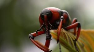 Earth Odyssey with Dylan Dreyer, Season 2 Episode 17 image