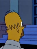 The Simpsons, Season 5 Episode 18 image