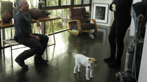 Dog Whisperer with Cesar Millan, Season 8 Episode 2 image