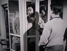 The Adventures of Ozzie and Harriet, Season 11 Episode 22 image