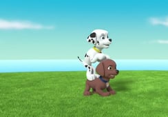 PAW Patrol, Season 2 Episode 25 image
