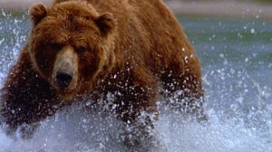 Nature, Season 17 Episode 13 image