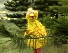 Sesame Street, Season 9 Episode 40 image