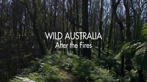 The Nature of Things, Season 60 Episode 3 image