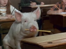 Green Acres, Season 5 Episode 20 image