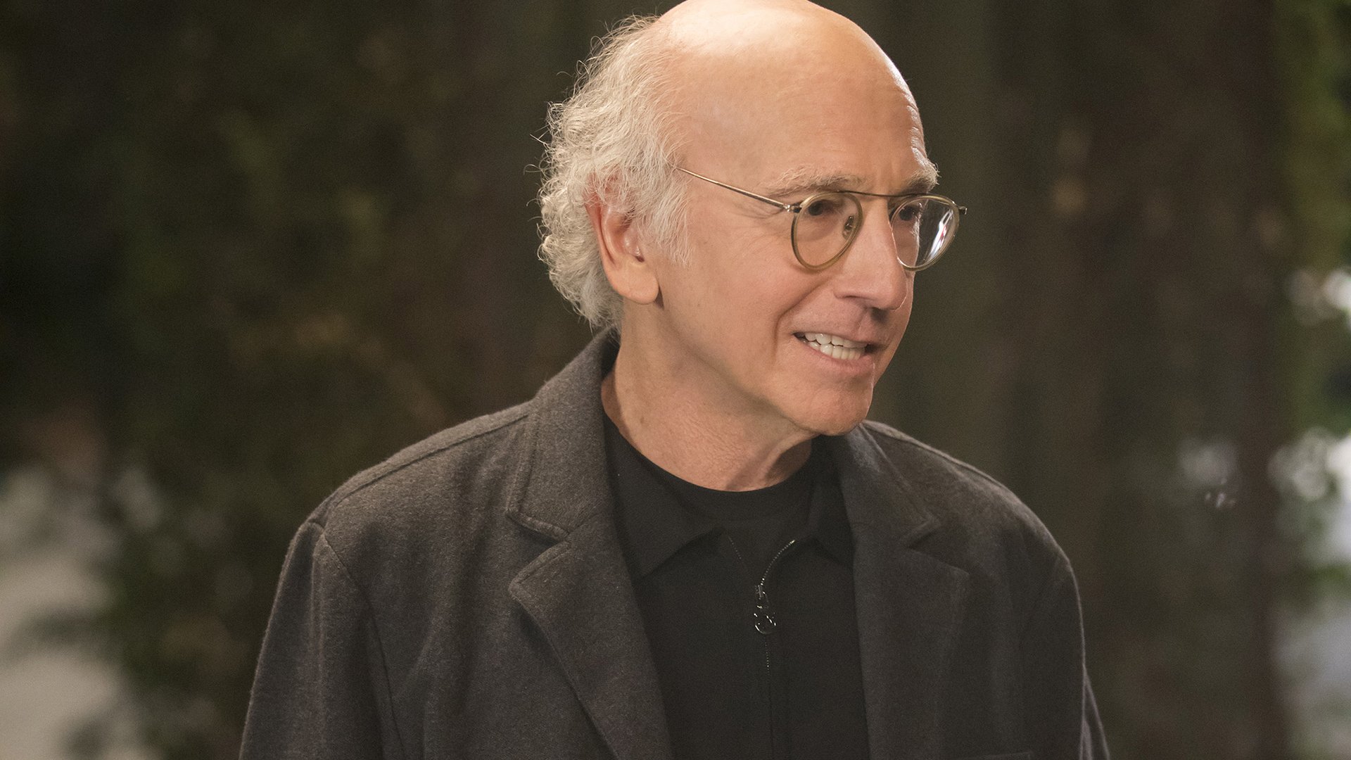 Larry David, Curb Your Enthusiasm