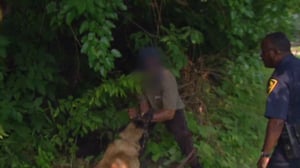 Cops, Season 12 Episode 5 image