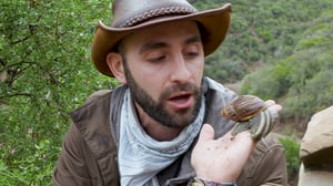 Brave Wilderness, Season 8 Episode 13 image