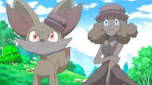 Pokémon, Season 17 Episode 21 image