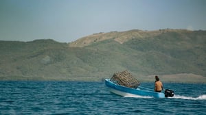 Ocean Treks with Jeff Corwin, Season 1 Episode 7 image