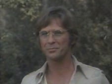 The Six Million Dollar Man, Season 5 Episode 13 image