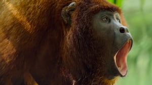 Earthsounds, Season 1 Episode 3 image