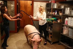 Young & Hungry, Season 4 Episode 4 image