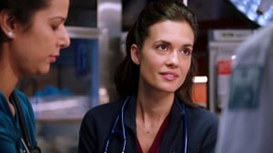 Chicago P.D., Season 2 Episode 9 image