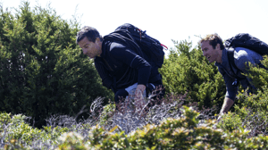 Running Wild with Bear Grylls, Season 5 Episode 5 image