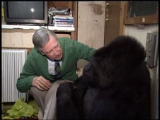 Mister Rogers' Neighborhood, Season 28 Episode 7 image