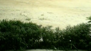 Funniest Pets & People, Season 8 Episode 13 image