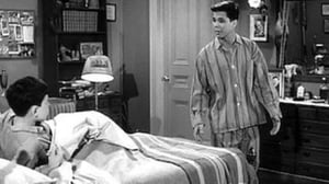 Leave It to Beaver, Season 4 Episode 29 image