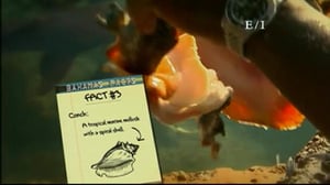 Elizabeth Stanton's Great Big World, Season 3 Episode 6 image