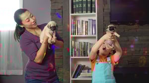 Cutie Pugs, Season 1 Episode 20 image