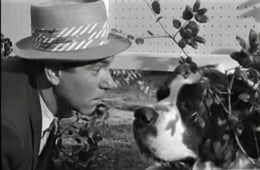 77 Sunset Strip, Season 2 Episode 29 image