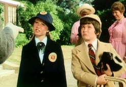 The Magical World of Disney, Season 29 Episode 8 image