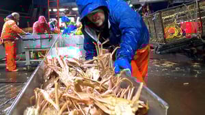 Deadliest Catch, Season 17 Episode 16 image