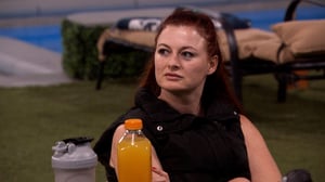 Big Brother, Season 27 Episode 17 image