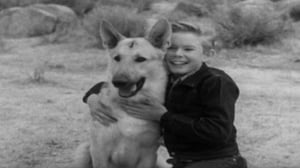 The Adventures of Champion, Season 1 Episode 2 image