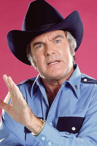 James Best as Scotty Grant
