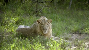 Vet Gone Wild, Season 1 Episode 2 image